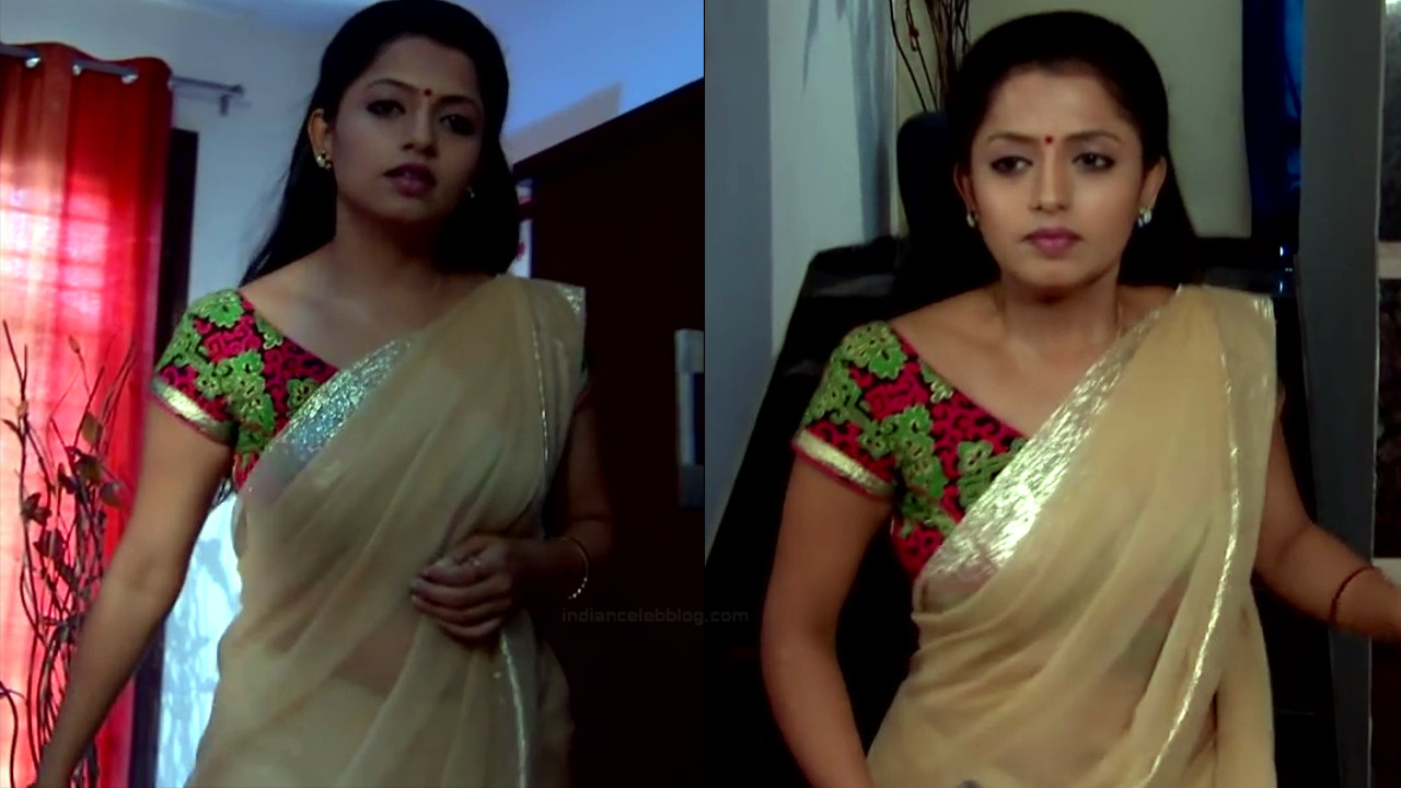 Navya Swamy Telugu Tv Actress Naapms1 7 Hot Sari Photos Indian Celeb Blog