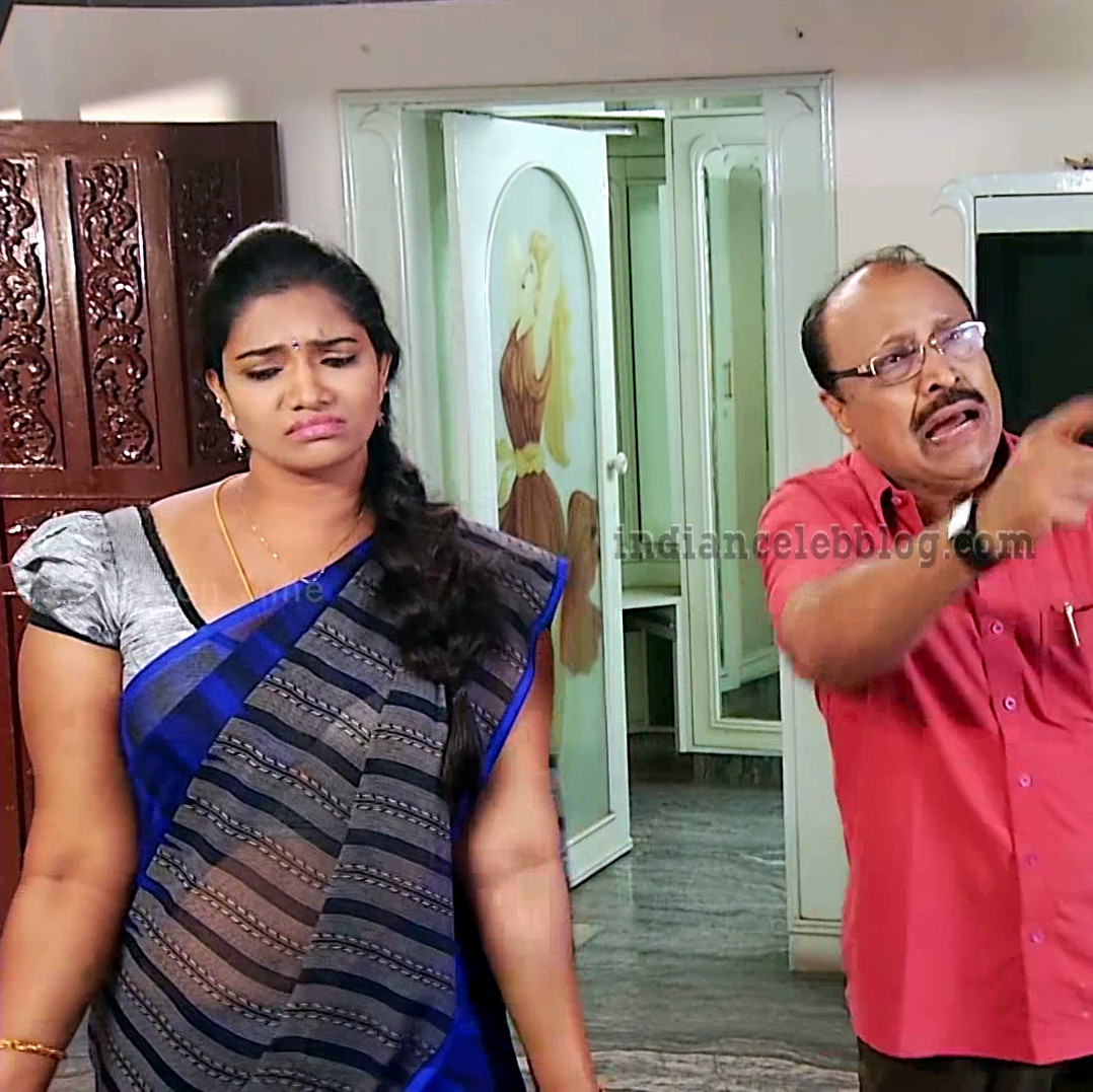 Krithika Tamil Tv Serial Vamsam S3 10 Hot Sari Photo