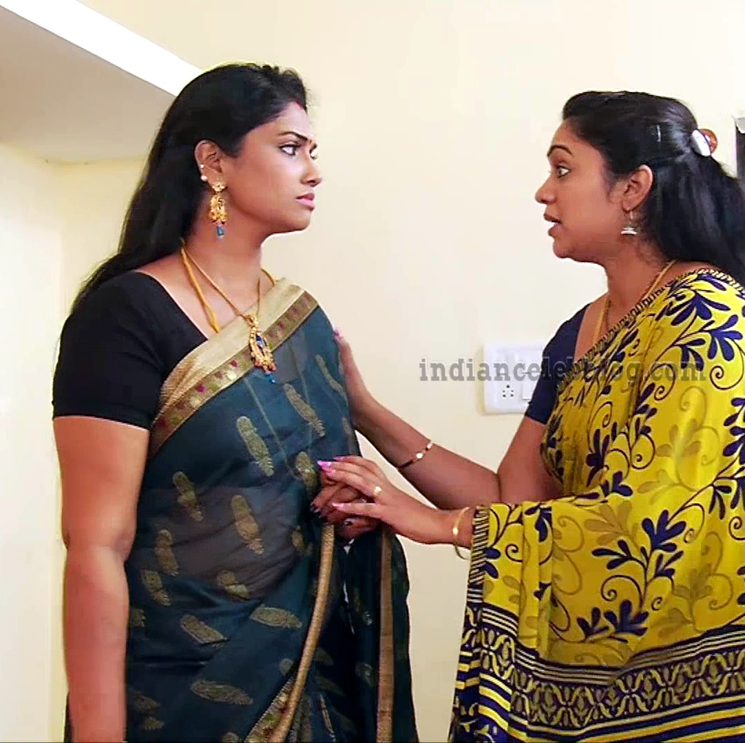 Krithika Tamil Tv Serial Vamsam S3 18 Hot Saree Caps Indian Celeb Blog