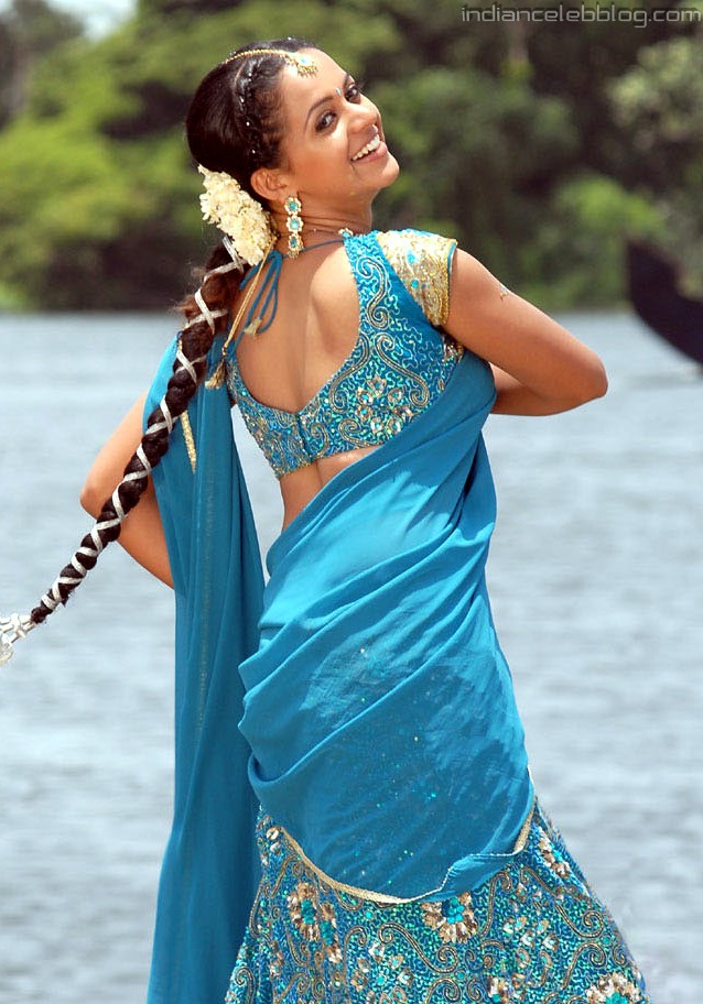 Bhavana menon mallu actress ms1 14 hot saree photo – indiancelebblog.com