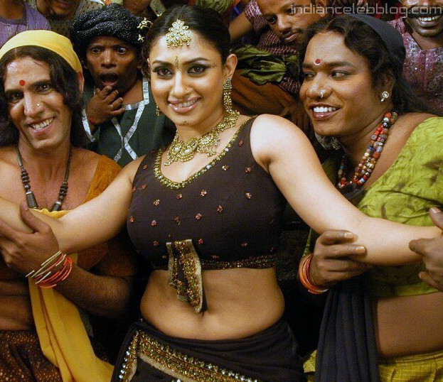 Malavika Tamil Actress Rlm Hot Navel Stills Indiancelebblog Com