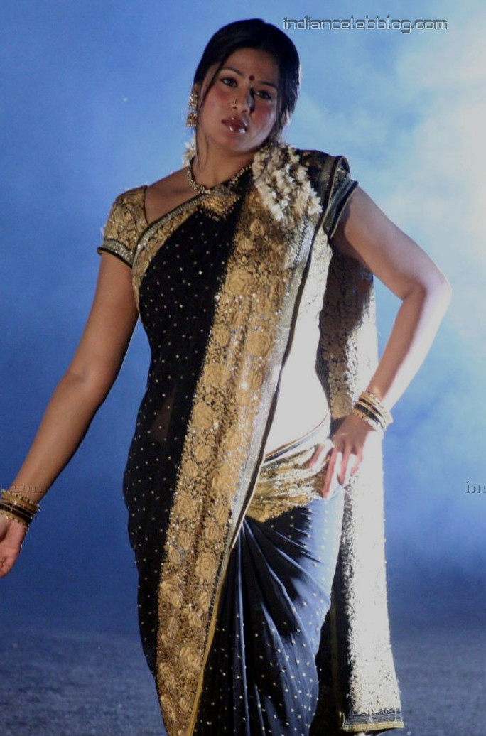 Sangeetha Tamil Actress D1 13 Dhanam Hot Saree Hd Stills